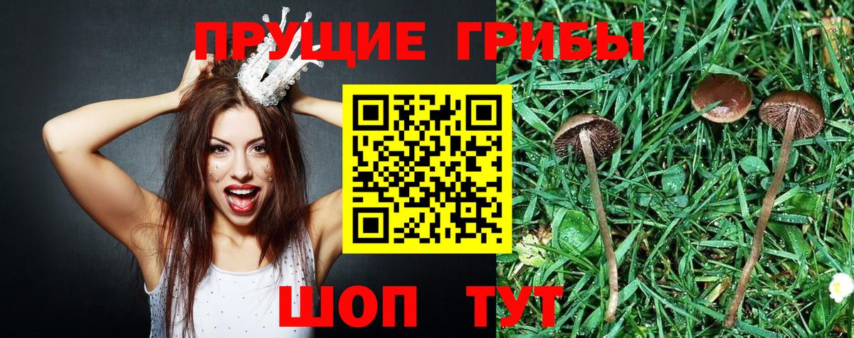Галлюциногенные грибы Magic Shrooms Владивосток