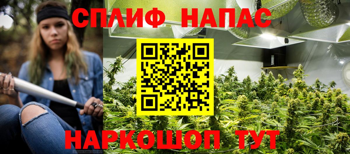 Марихуана план Владивосток
